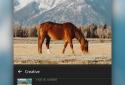 Adobe Photoshop Lightroom screenshot 4