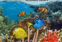 Fish Farm 2 screenshot 6
