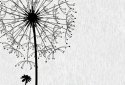 Simple Love Wallpaper screenshot 3