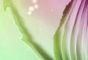 Curve Live Wallpaper screenshot 2 Curve Live Wallpaper screenshot 2