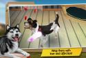 DogHotel - Мой отель для собак screenshot 7