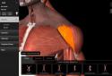 iMuscle 2 screenshot 7