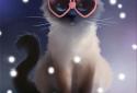 Siamese Cat screenshot 3