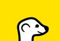 Meerkat screenshot 1