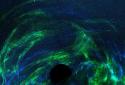 Supermassive Black Hole screenshot 2