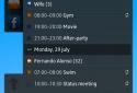 All-in-One Agenda widget screenshot 6