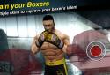 World Boxing Challenge screenshot 8