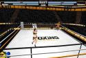 Boxing - Road To Champion screenshot 3