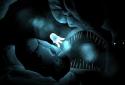 Seashine screenshot 3