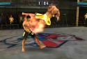 Brothers: Clash of Fighters screenshot 3