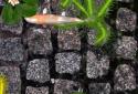 Pocket Pond 2 screenshot 5