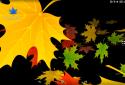 3D Autumn Maple Leaves screenshot 3