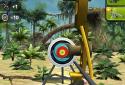 Archery Master 3D screenshot 1