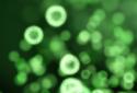 Neon Microcosm Live Wallpaper screenshot 4