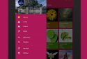 Pulsar Music Player Pro screenshot 10 Pulsar Music Player Pro screenshot 10