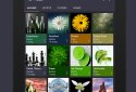 Pulsar Music Player Pro screenshot 9 Pulsar Music Player Pro screenshot 9