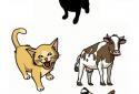 Animal sounds game for kids screenshot 11