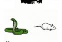 Animal sounds game for kids screenshot 8