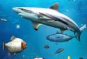 Fishing Fishing: Set The Hook! screenshot 9
