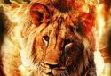 Fire Lion Live Wallpaper screenshot 1 Fire Lion Live Wallpaper screenshot 1