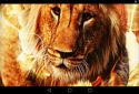 Fire Lion Live Wallpaper screenshot 5 Fire Lion Live Wallpaper screenshot 5
