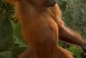 Dancing Monkey HD Live Wall screenshot 5