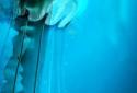 Night Light Jelly Fish LWP 3D screenshot 4