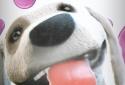 Puppy Licks Screen Animation screenshot 4