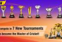 World Cricket Championship 2 screenshot 10 World Cricket Championship 2 screenshot 10