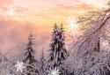 Snowfall Live Wallpaper screenshot 5