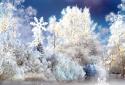 Snowfall Live Wallpaper screenshot 9