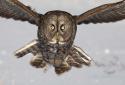 Winter Life Animals Live WP screenshot 9