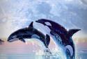 Dolphin Ocean Ripple Effect screenshot 1