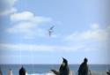 Arctic Penguin Live Wallpaper screenshot 12
