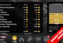 FL Racing Manager Pro 2016 screenshot 8