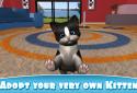 Daily Kitten : virtual cat pet screenshot 1