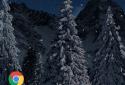 Real Snowfall Day Night screenshot 3
