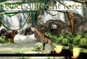Waterfall 3D Live Wallpaper screenshot 5 Waterfall 3D Live Wallpaper screenshot 5