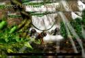 Waterfall 3D Live Wallpaper screenshot 7 Waterfall 3D Live Wallpaper screenshot 7