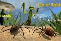 Life of the Spider screenshot 1