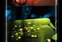 Glowing Jungle Live Wallpaper screenshot 1