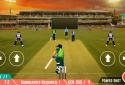 India vs Pakistan screenshot 8