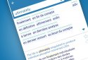 Reverso Translation Dictionary screenshot 2