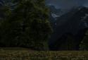 Mountain Dandelions screenshot 3 Mountain Dandelions screenshot 3