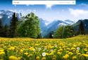 Mountain Dandelions screenshot 5 Mountain Dandelions screenshot 5