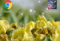Iris Flowers Live Wallpaper screenshot 1 Iris Flowers Live Wallpaper screenshot 1