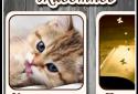 Guess the animal on the photo screenshot 1