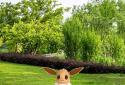Pokemon GO screenshot 2