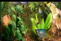 Aqua 3D Live Wallpaper screenshot 6