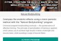 AtletIQ — fitness and bodybuilding screenshot 5